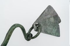 Foto von Bronzeachsnagel (NHMW-PRAE-025272)